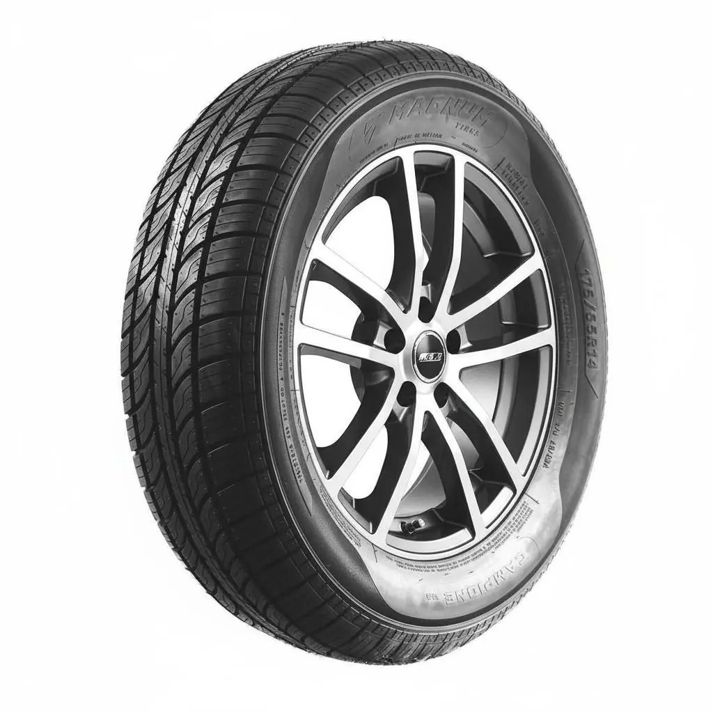 Pneu Aro 14 Magnum Tires 175 70R14 Campione M3 84T