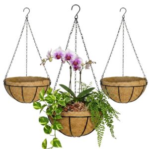 Kit 3 Vasos de Fibra de Coco 25cm Suspenso com Corrente Para Plantas E Flores - Verde Garden