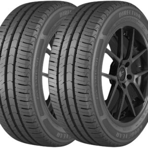 Pneu Aro 16” 205/55R16 Goodyear 91V Direction 2 - 2 Unidades